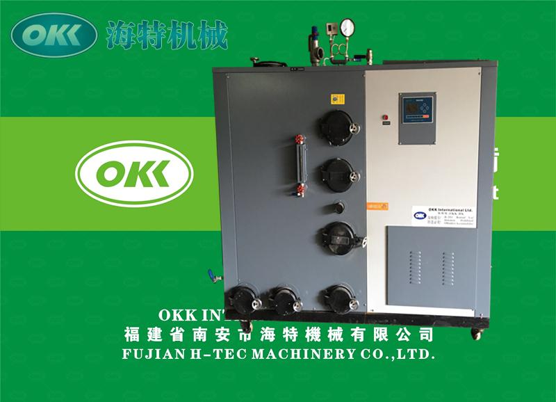 Biomass steam generator